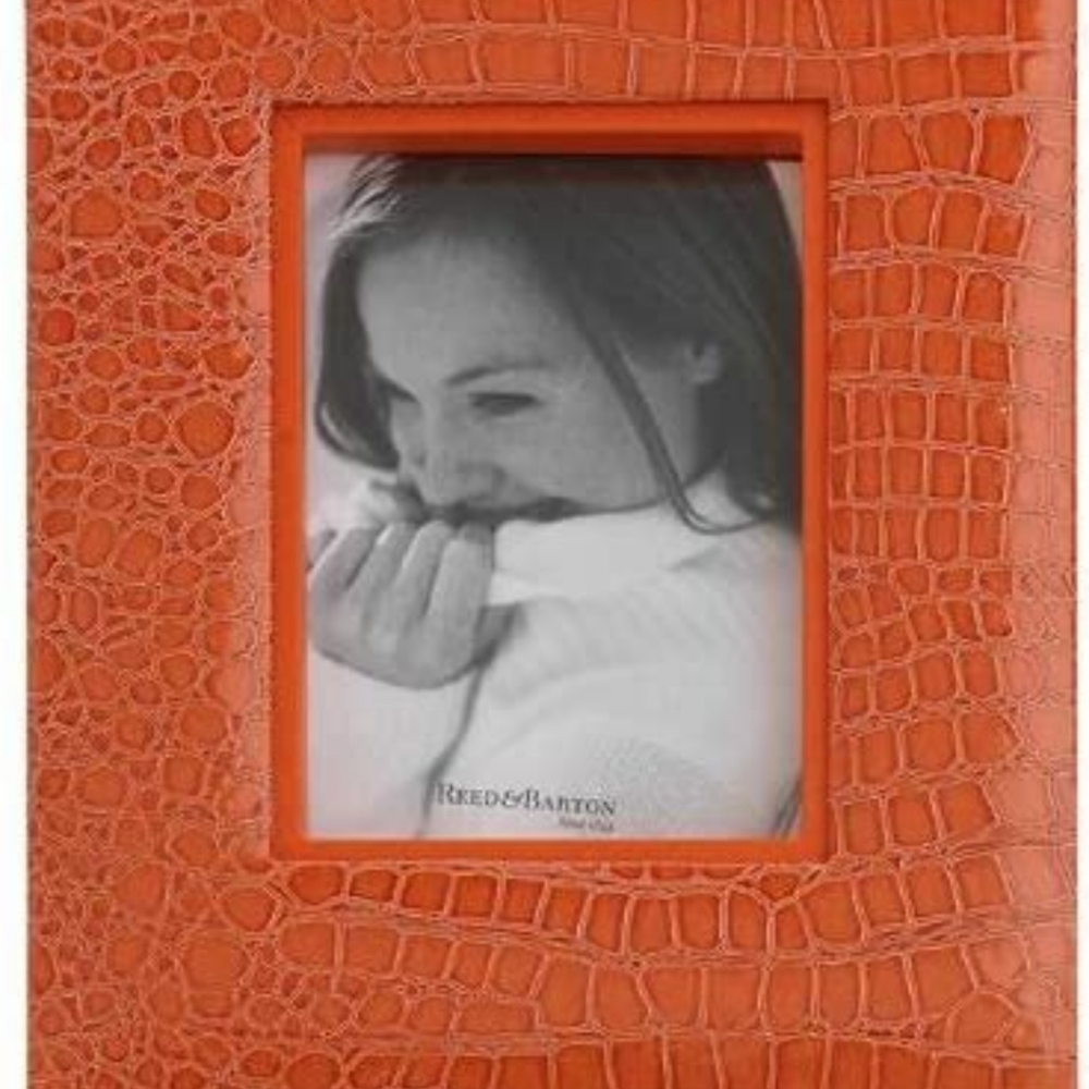 💲Reed & Barton Faux Croc Frame 4"x6"